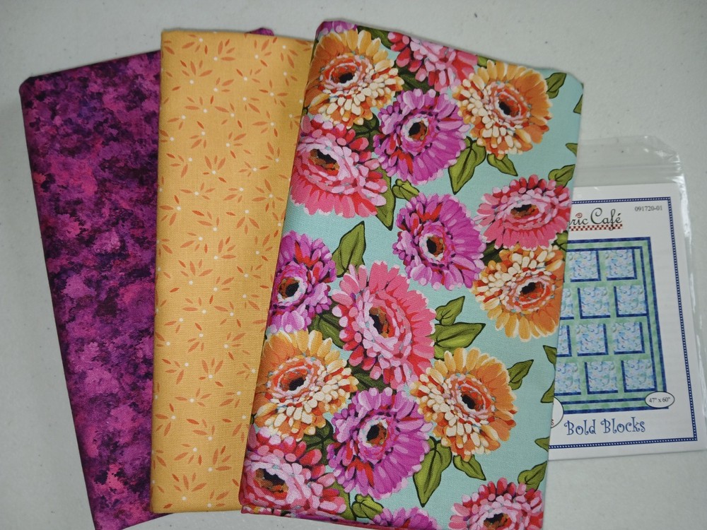 Lot 3 yd quilt kit w/pattern Fabric Cafe focus light dark QSQ free ship HTF