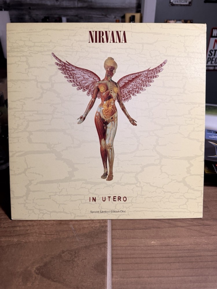 Nirvana In Utero 12