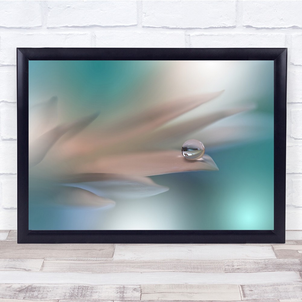 Flower Floral Macro Drops Soft Colours Wall Art Print