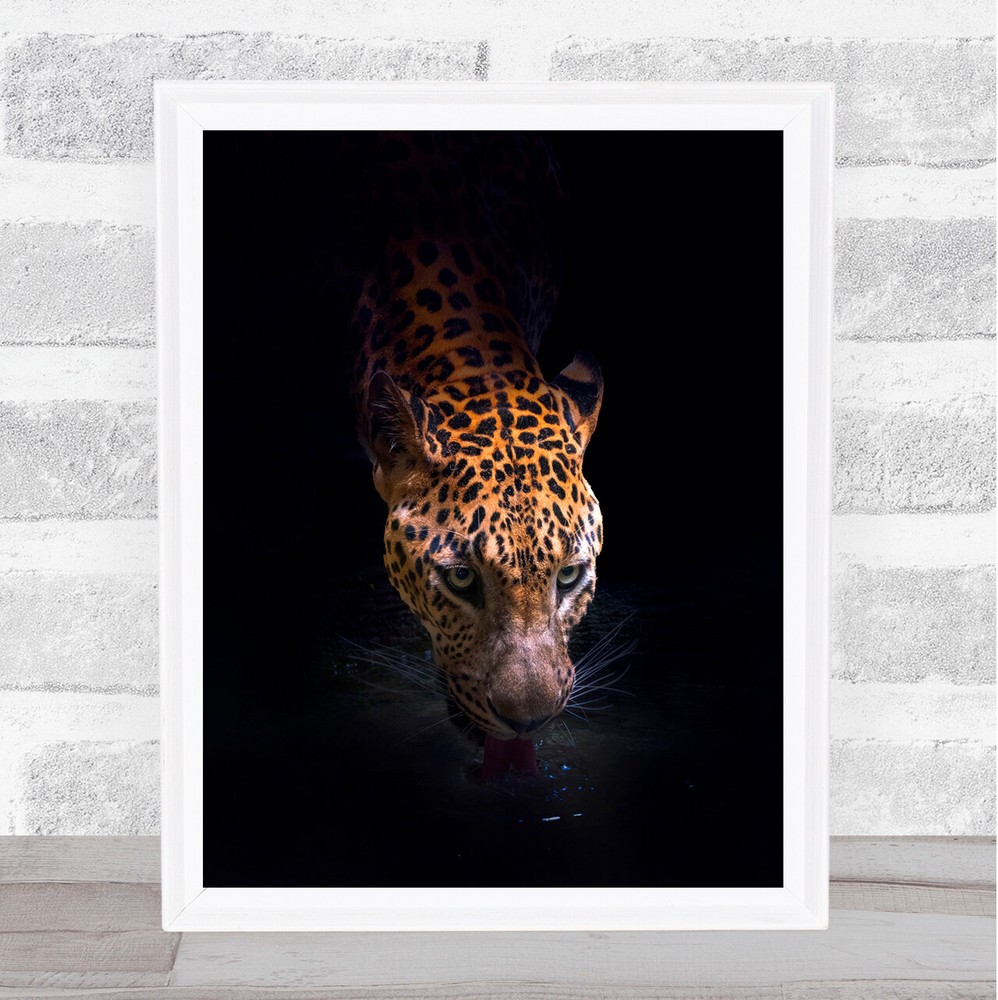 Drinking Leopard Dark Animal Animals Feline Drink Waterhole Thirst Art Print