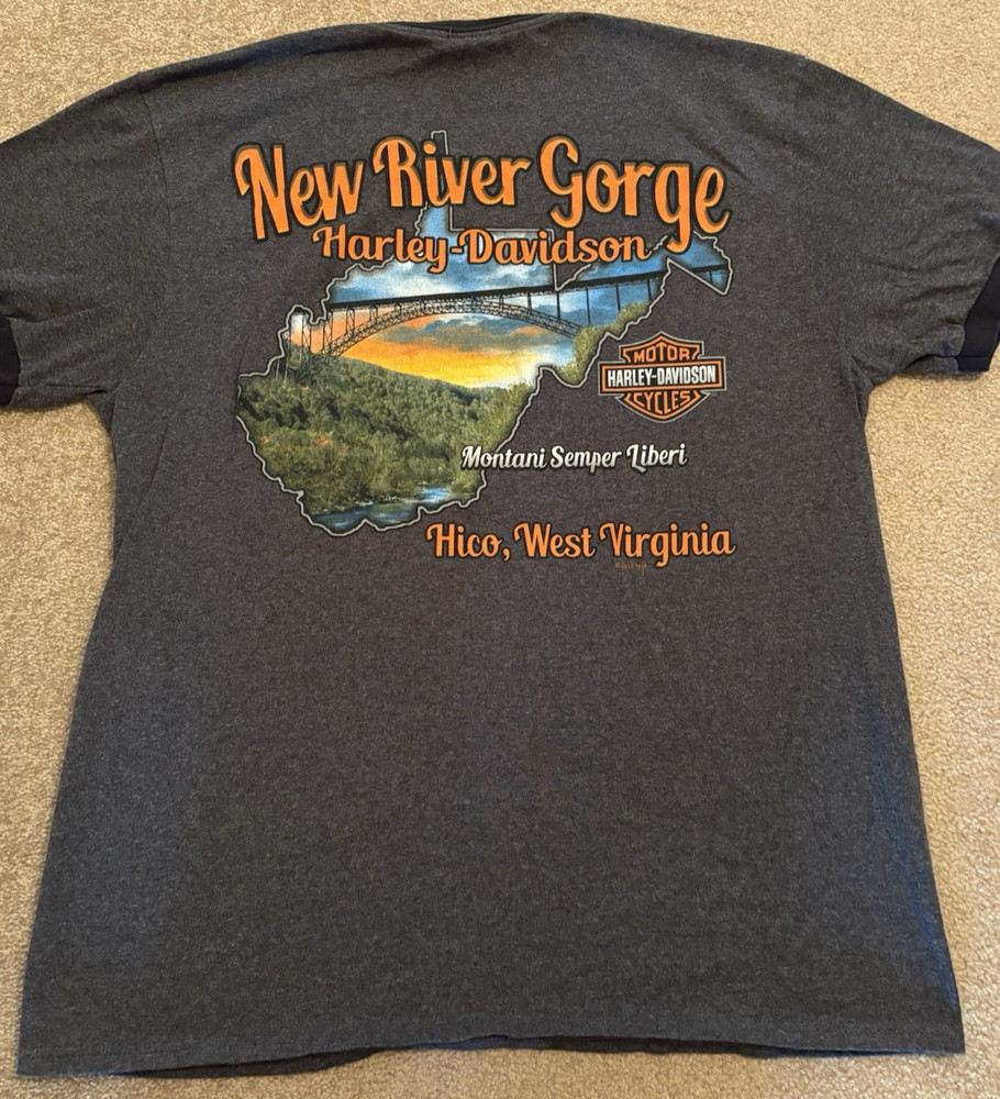 Harley Davidson Graphic Tshirt Black Charcoal Gray Men's Size L West Virginia WV