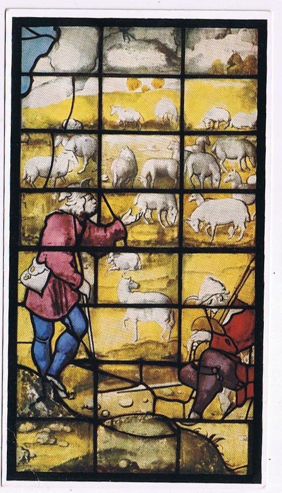 Postcard Kings College Chapel Shepherds & Their Sheep Cambridge England UK