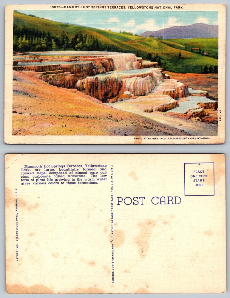 Mammoth Hot Springs Terraces Yellowstone National Park Wyoming WY Postcard