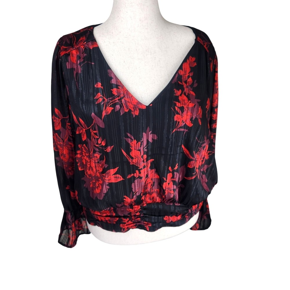 Lane Bryant Moody Floral V-Neck Sheer Long Sleeve Blouse Size 24 Boho Chic Top