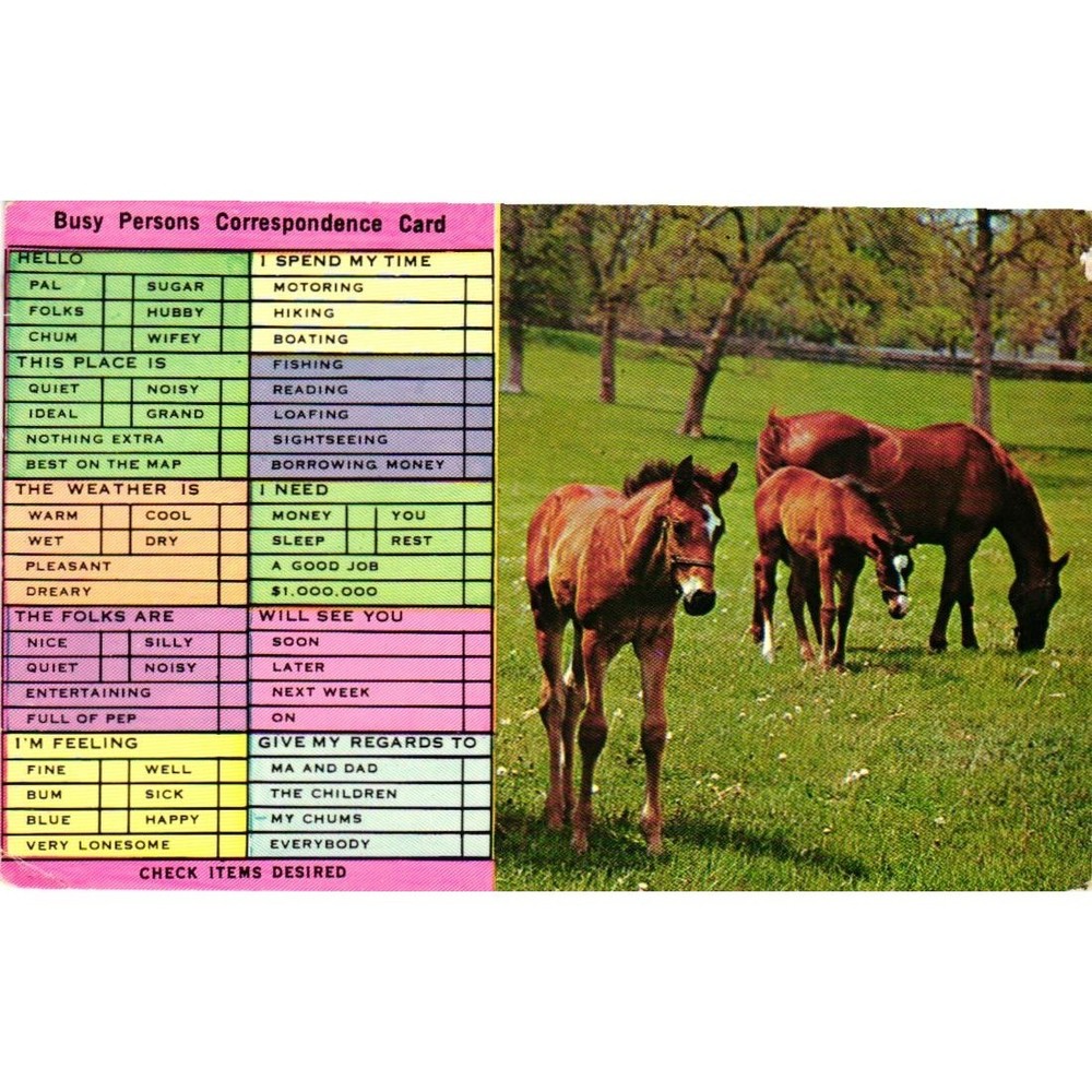 Busy Persons Correspondence Card Horses Vintage Check List Postcard