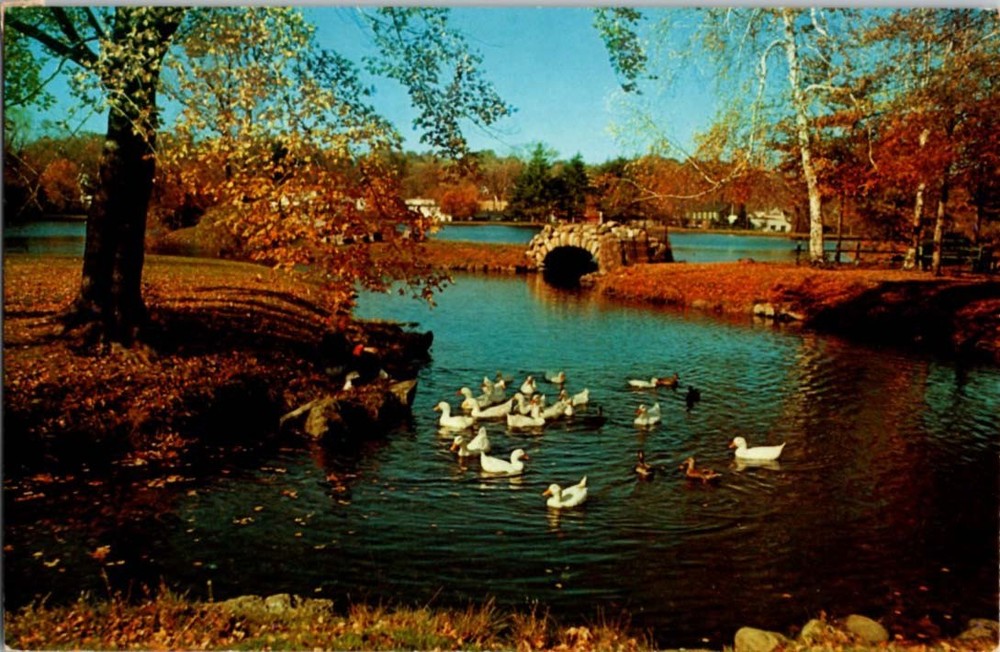 Pre-1980 RIVER SCENE Long Island - Huntington New York NY m/14 BJ8045