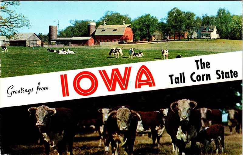 Postcard FARM SCENE State of Iowa IA AO3854