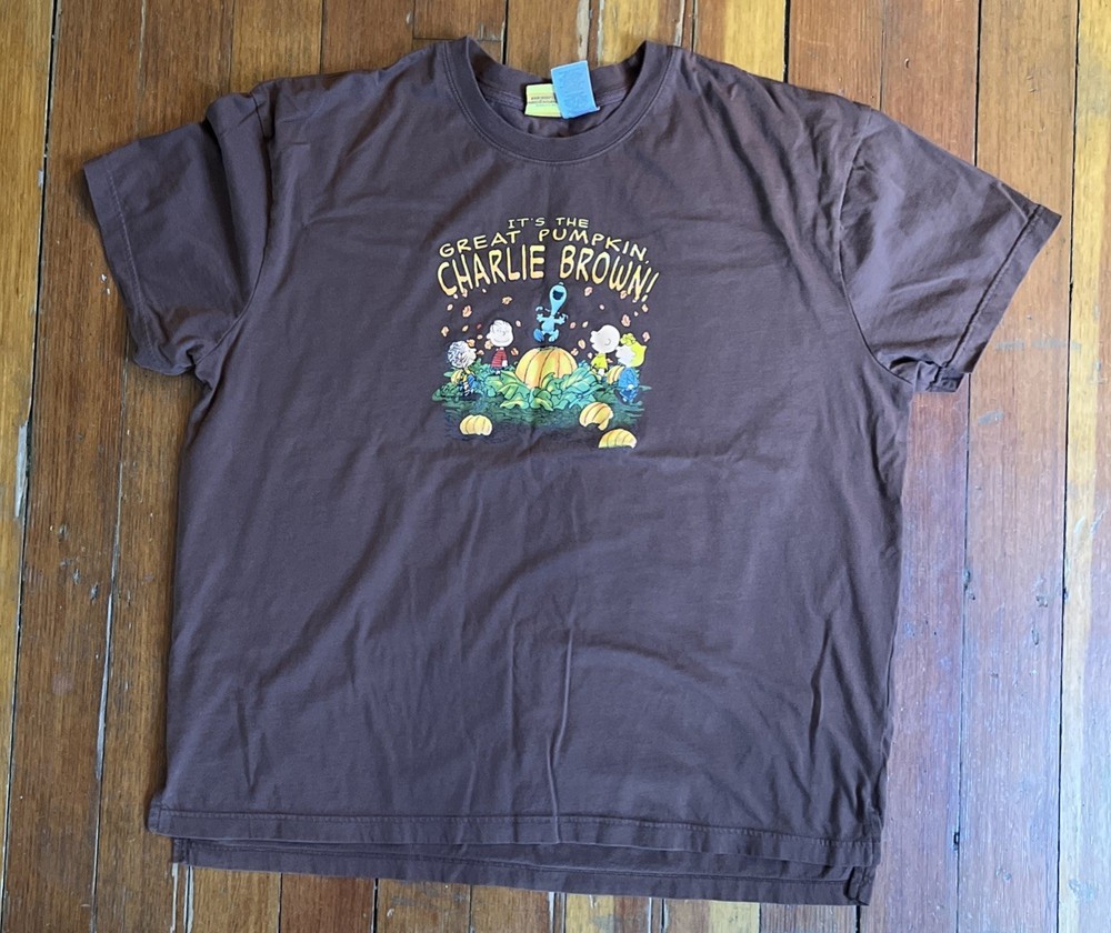 Peanuts It’s The Great Pumpkin Charlie Brown Graphic Print Tee Men’s Xl Brown