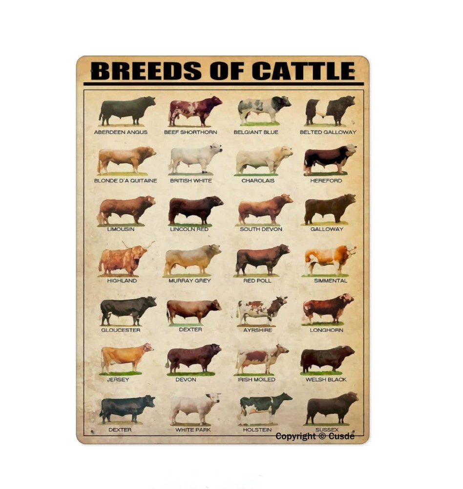 Metal Breeds of Cattle Sign - Cattle Knowledge Poster Vintage Tin Signs for Ran