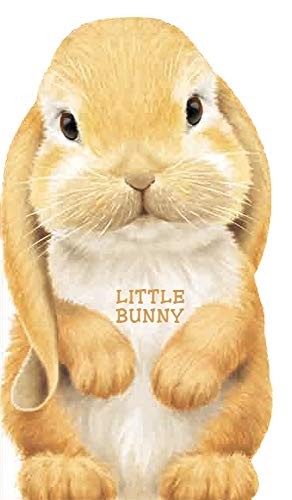 Little Bunny (Look at Me Books (Barron's))