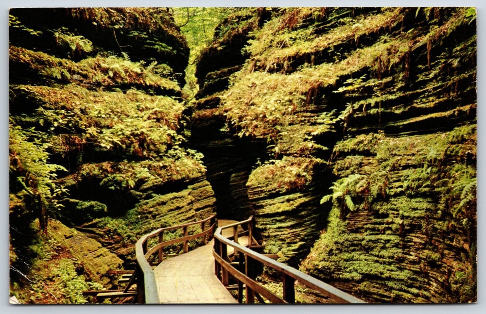 Postcard Moss Chamber In Cold Water Canyon, Wisconsin Dells, Wisconsin Unposted