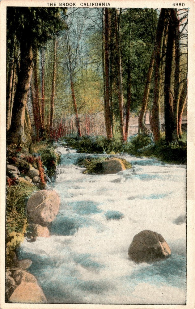 THE BROOK, CALIFORNIA, PACIFIC NOVELTY CO., SAN FRANCISCO Postcard