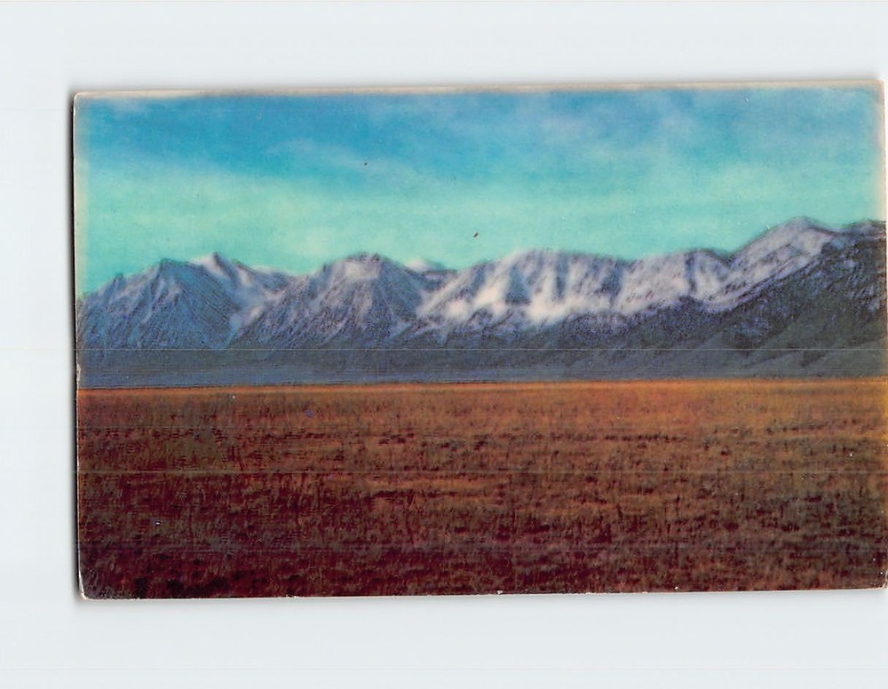 Postcard Snow Capped Mountain Range Nevada Valley Grazing Land USA North America
