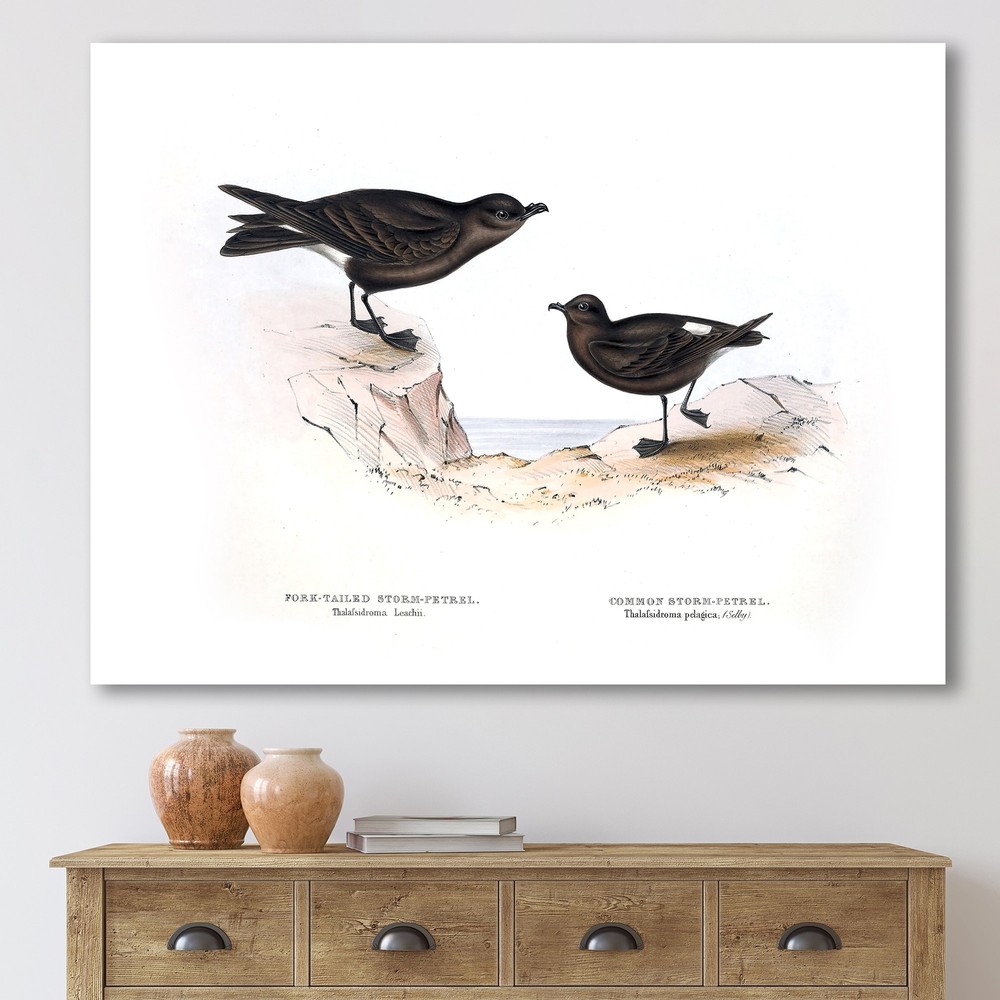 Designart 