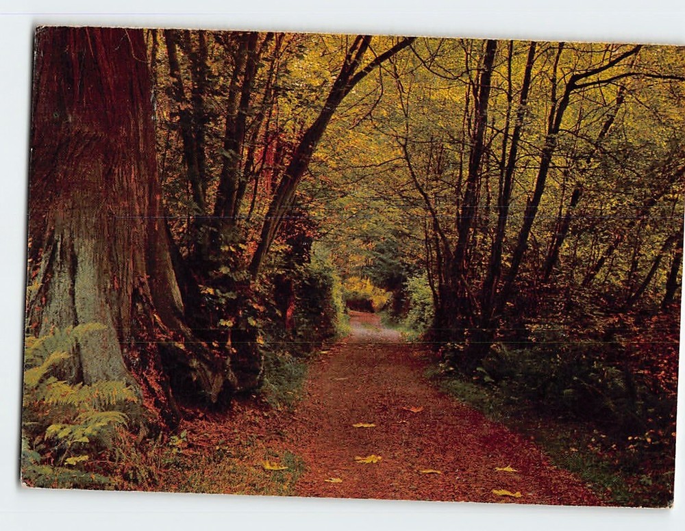Postcard Stanley Park in the Fall Vancouver Canada