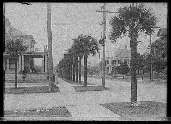 Photo:Second St. Street, Jacksonville, Fla.