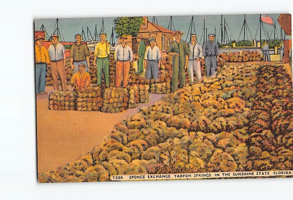 Postcard Sponge Exchange In The Sunshine State Tarpon Springs Florida USA