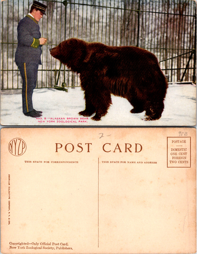 Vintage Postcard