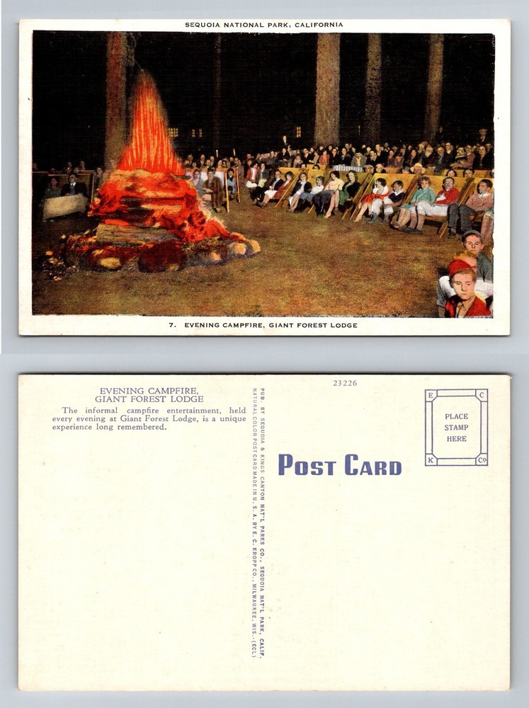 Sequoia National Park, CA-California Giant Forest Lodge Evening Vintage Postcard