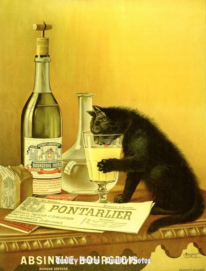 Cat Drinks Absinthe 8.5x11
