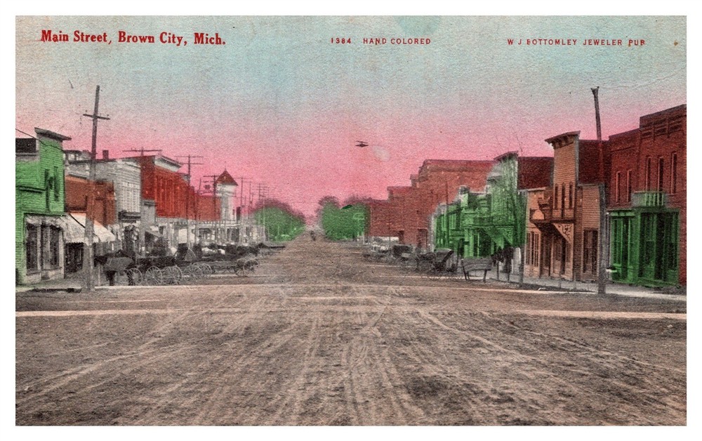 Main St Dirt Horses Wagons Hand Colored Brown City MI Early C1900s Postcard AG3