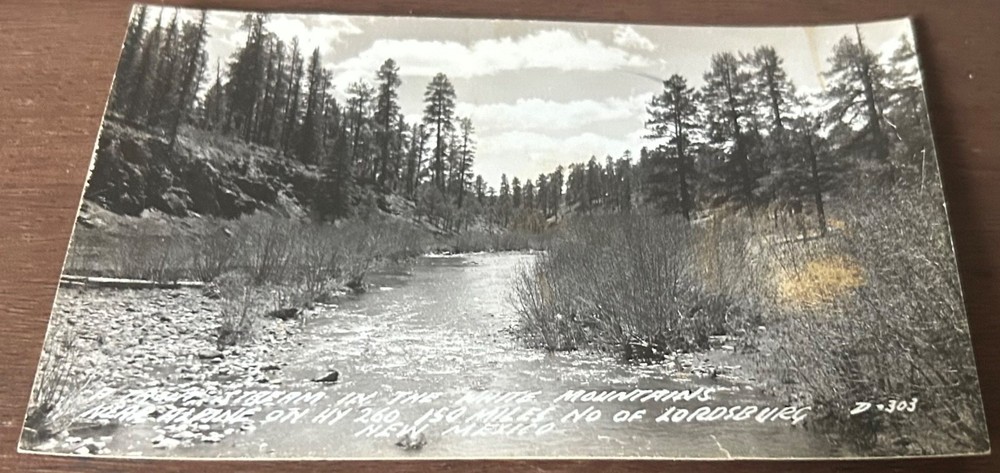 White Mountain , Lordsburg ,New Mexico 1940 Real Photo Postcard