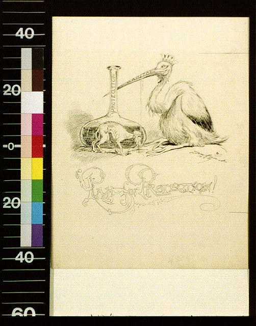 Photo:Rah for protection,Daniel Carter Beard,1889,Animals,Ibis