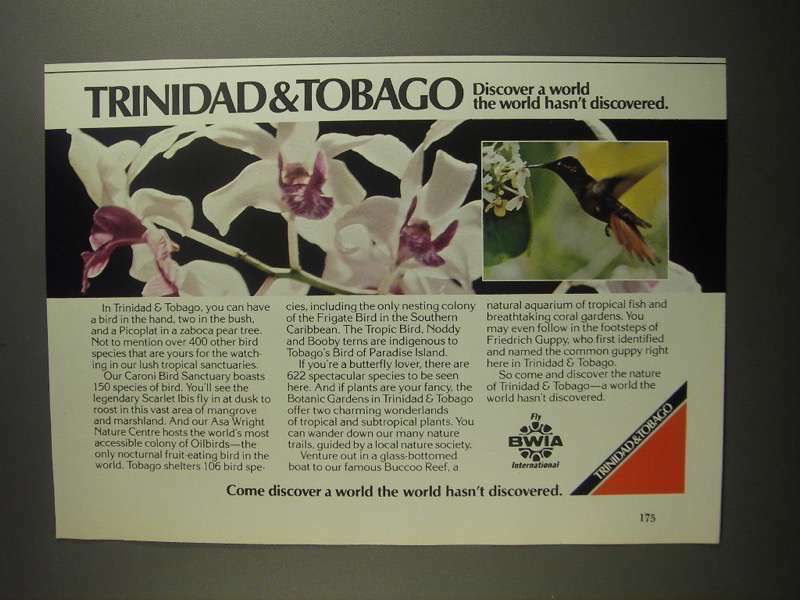 1984 Trinidad & Tobago Tourism Ad - Discover