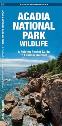 Acadia National Park Wildlife: A Folding Pocket Guide to Familiar Species - GOOD-image