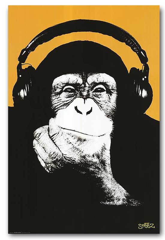 Steez Monkey DJ *FRAMED* CANVAS PRINT - DJ POP ART  orange 24x16