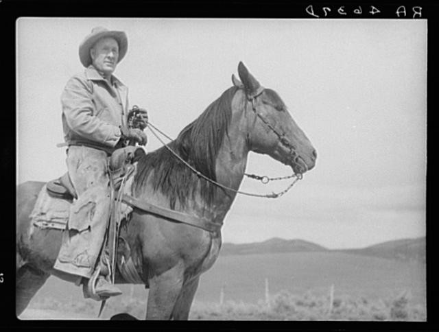 Sheep Rancher,Oneida County,Idaho,ID,Farm Security Administration,1936,FSA 1