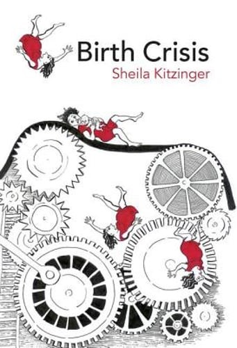 Birth Crisis by Sheila Kitzinger: Used