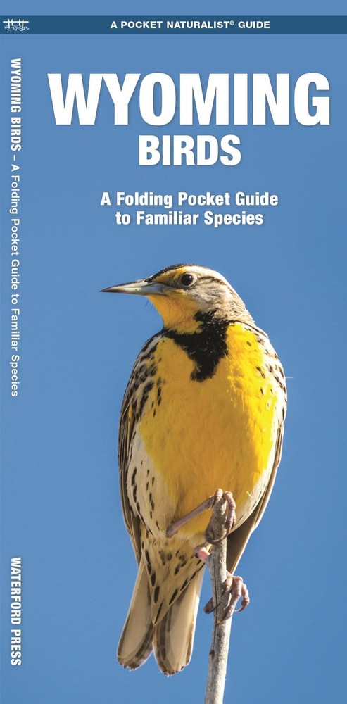 Wyoming Birds (Nature Observation North America)