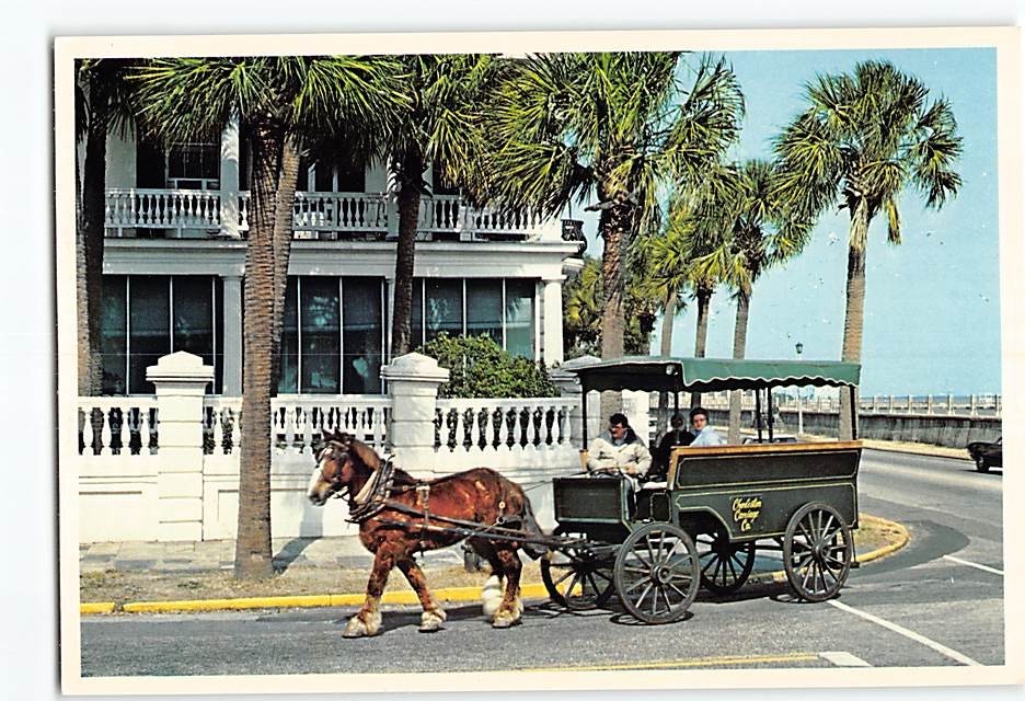 Postcard Horse Carriage Street Scene Charleston South Carolina USA
