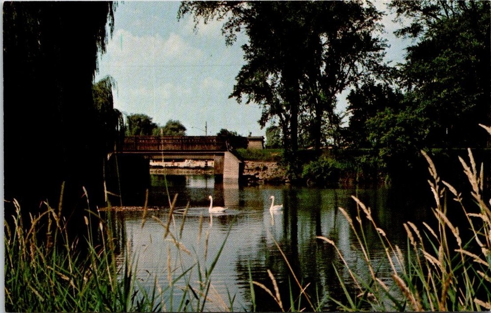 c1960 Swan Lagoon at Mill Pond Park Delavan Wisconsin Vintage Postcard