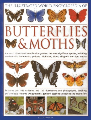 The Illustrated World Encyclopedia of Butterflies and Moths: A Natural Histo...