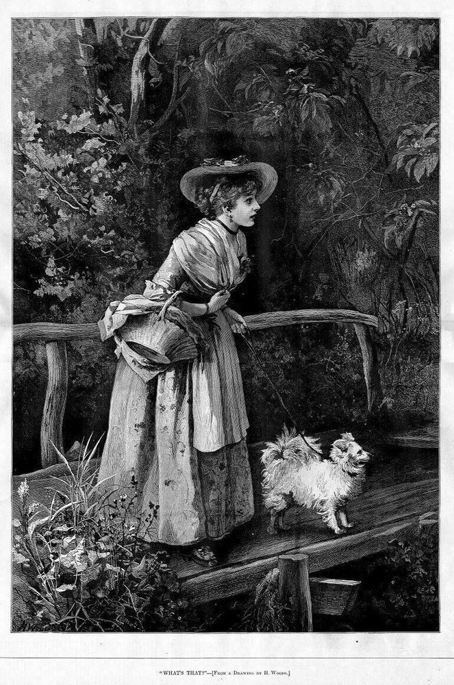 Young Lady and Dog Walking Through Dark Woods Antique Painting Vintage Art
