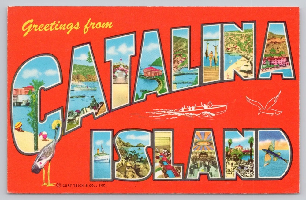 Santa Catalina Island California, Large Letter Greetings, Vintage Postcard