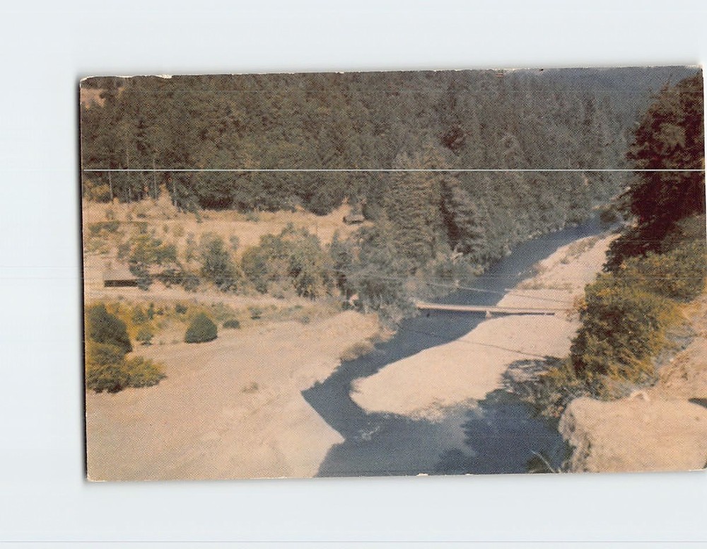 Postcard Redwood Highway California USA
