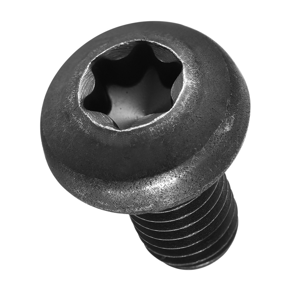 Pan Head Torx Screws (M10-1.5x16mm) 12Pcs, Carbon steel, Black