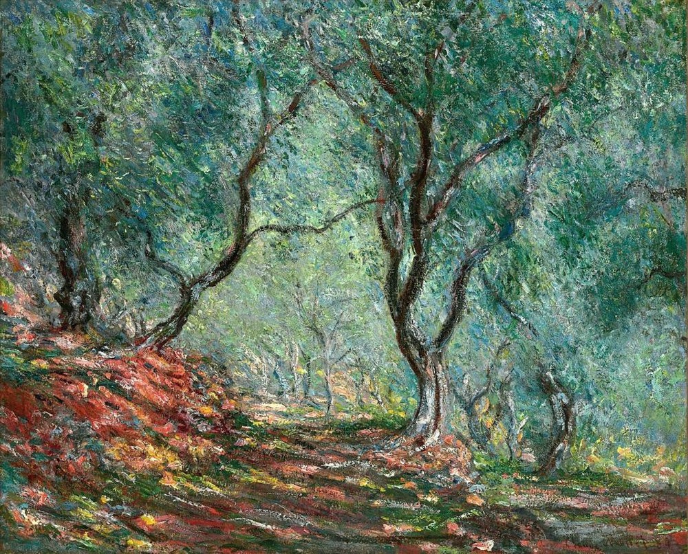 CLAUDE MONET ~ Olive trees ~ *FRAMED* CANVAS ART Poster ~ 18x12