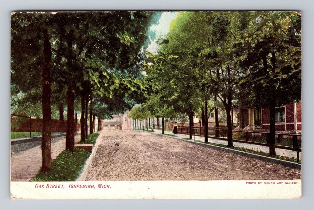 Michigan MI Ishpeming Residences On Oak Street Vintage Postcard