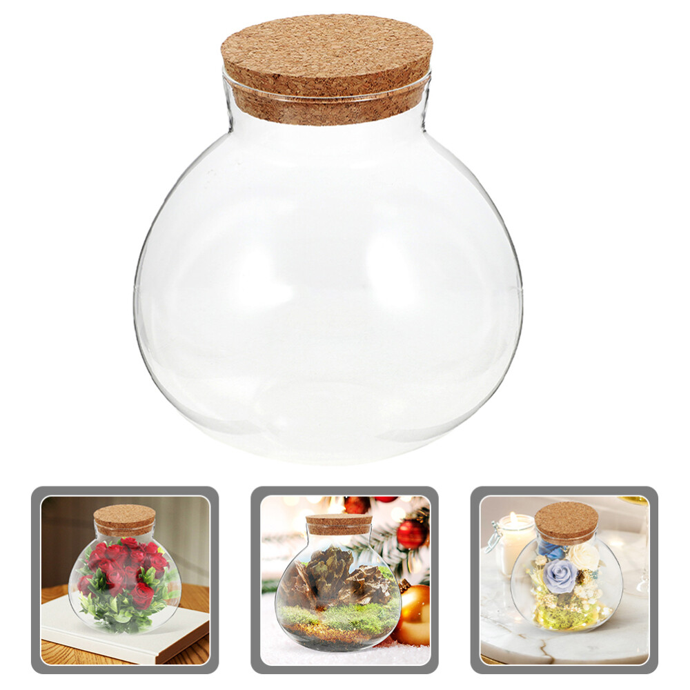 Glass Terrarium Planter for Air Plants - Eco-Friendly Mini Garden