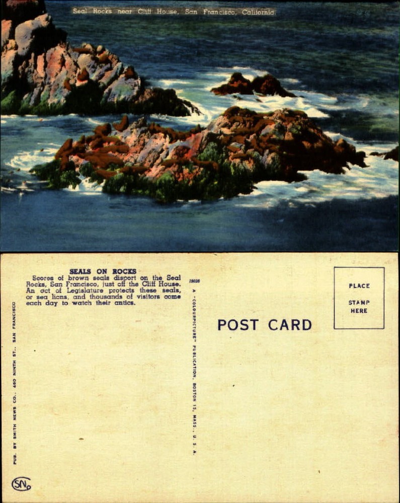 Seal Rocks near Cliff House San Francisco CA linen unused vintage postcard