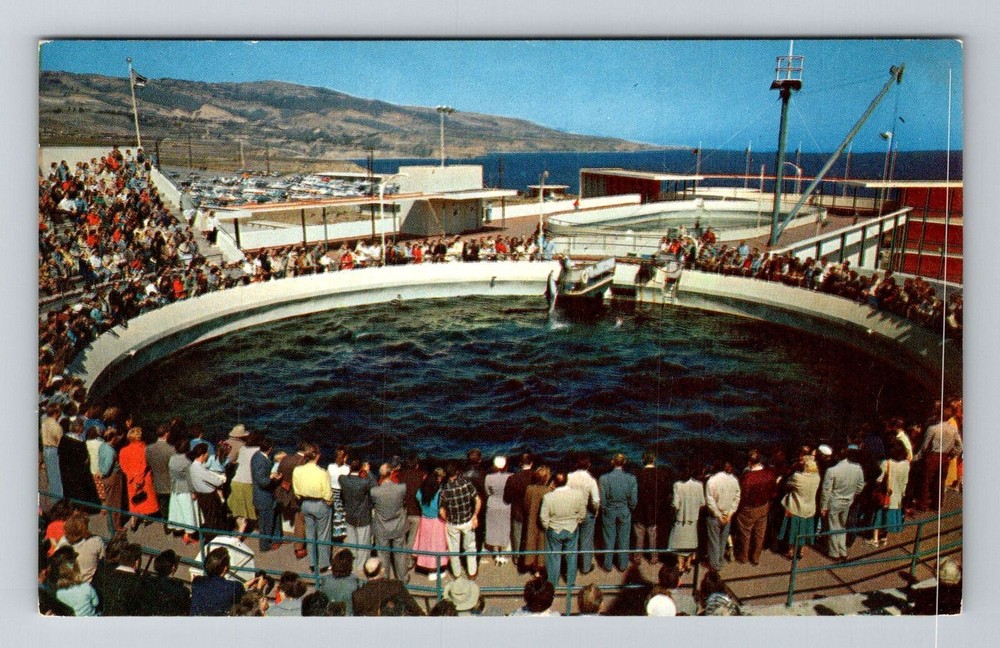 Palos Verdes CA-California, Marineland of Pacific, Porpoise, Vintage Postcard