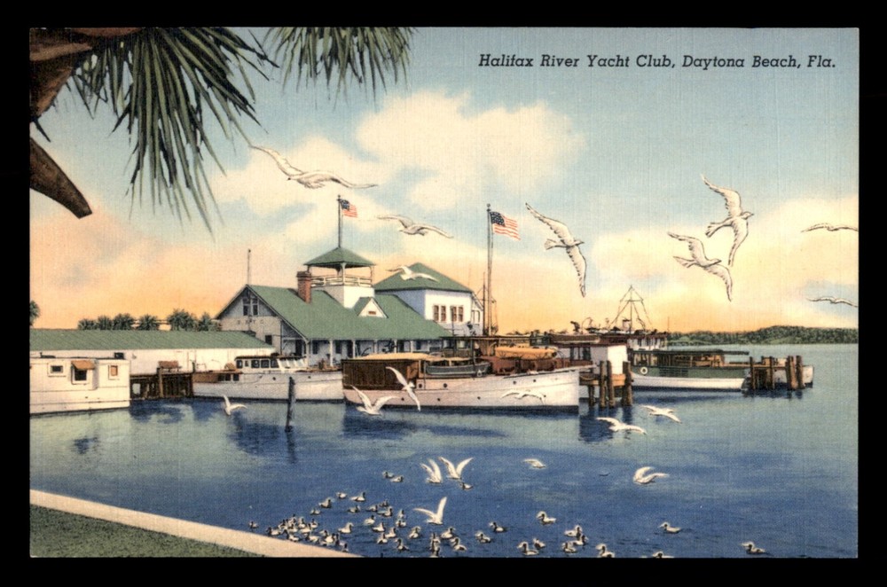 Halifax River Yacht Club Daytona Beach Florida FLA FL Postcard Birds Linen