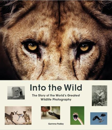 Into the Wild : The Story of the World's Greatest Wildlife Photography, Hardc...
