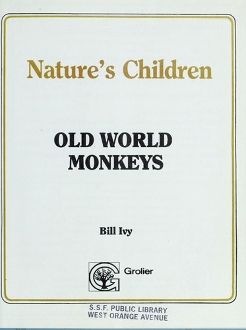 Old World Monkeys by Bill Ivy