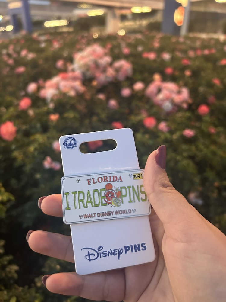 2025 Disney World Florida License Plate OE Pin for Trading