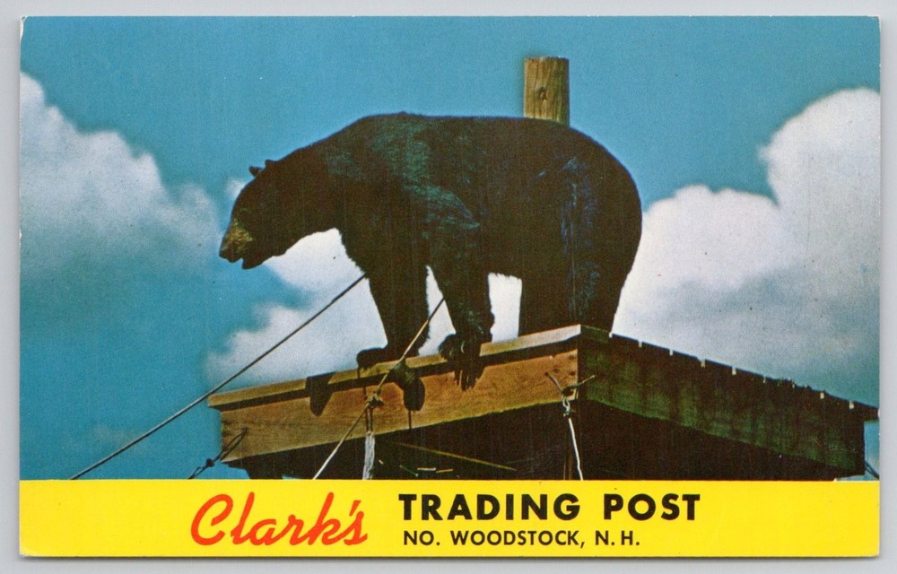 Clark's Trading Post Rastus Bear Postcard - North Woodstock, New Hampshire